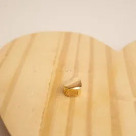 Pingente Liso Coração Passante