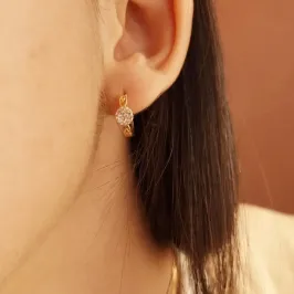 Brinco Argola Cravejado