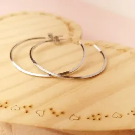 Brinco Steel Argola Lisa G