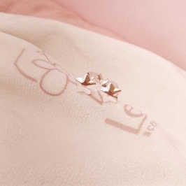 Brinco Estrela em Banho de Prata