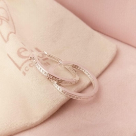 Argola Lux Cravação Interna em Banho de Prata