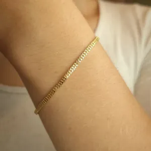 Pulseira Rígida