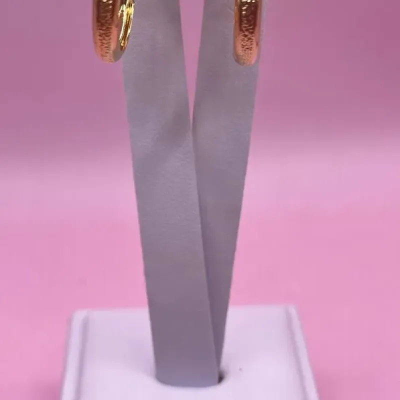 BRINCO ARGOLA DETALHADAS LINHAS LISA