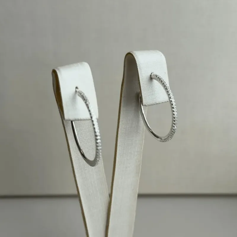 Argola Prata Cravejada