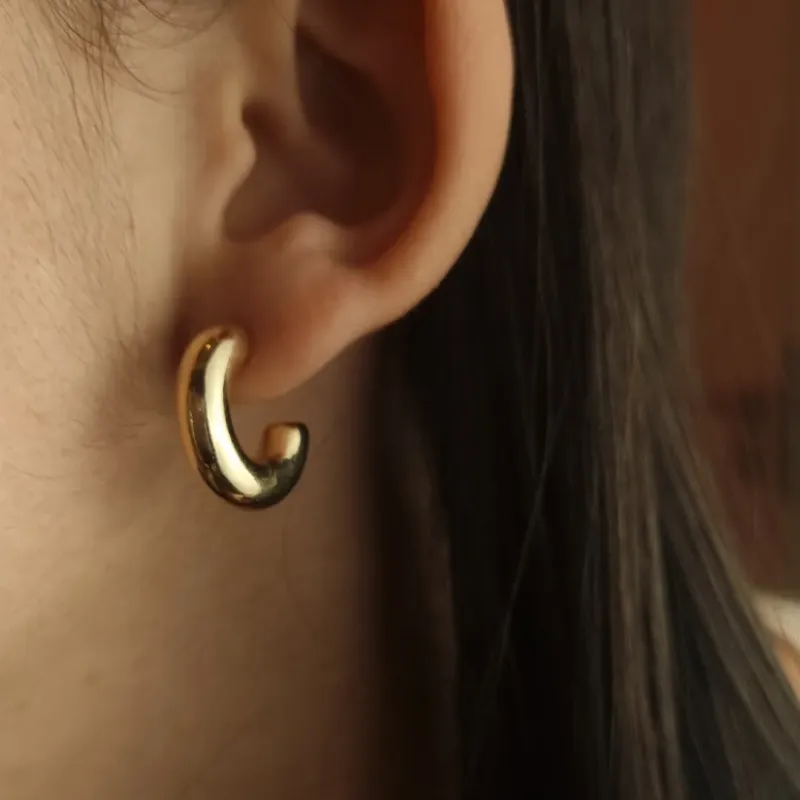 Brinco Argola Grossa