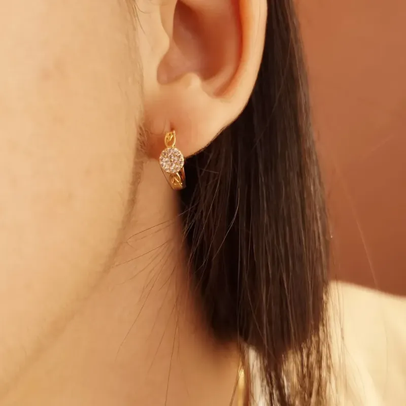 Brinco Argola Cravejado