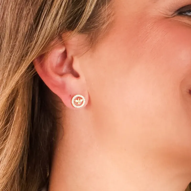 Brinco Espírito Santo Cravejado