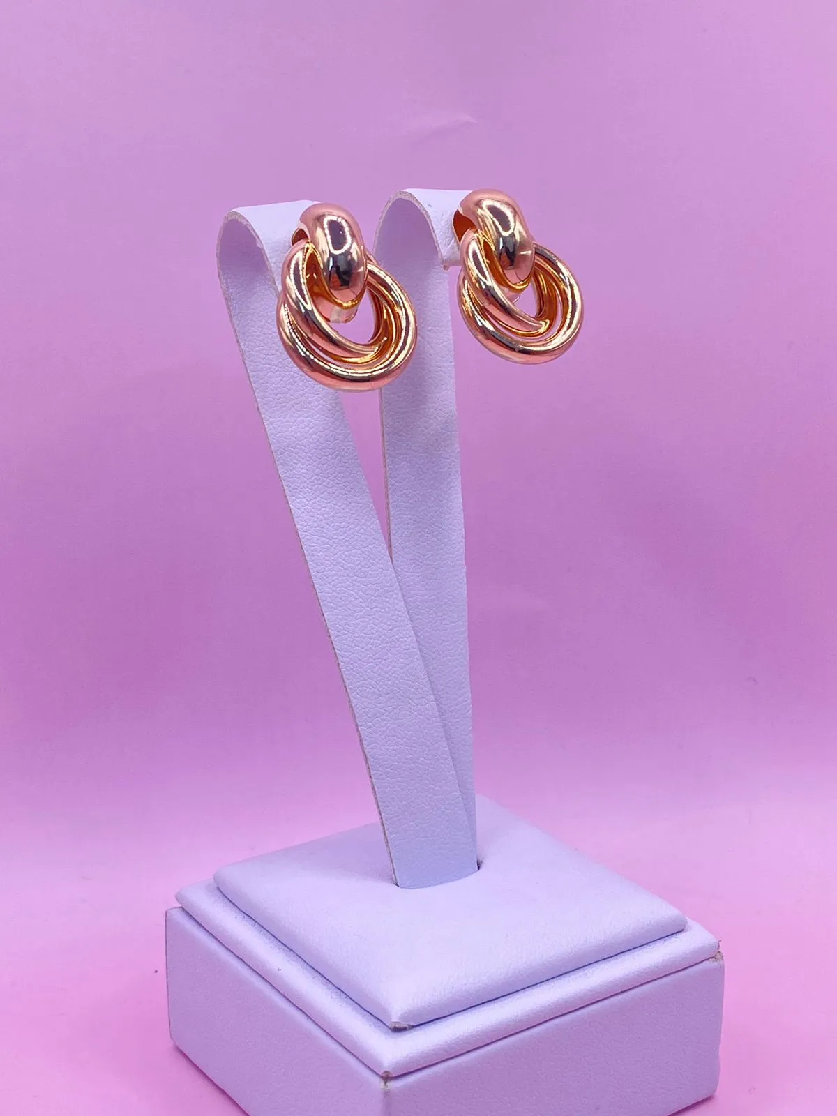 Brinco Circulo Duplo