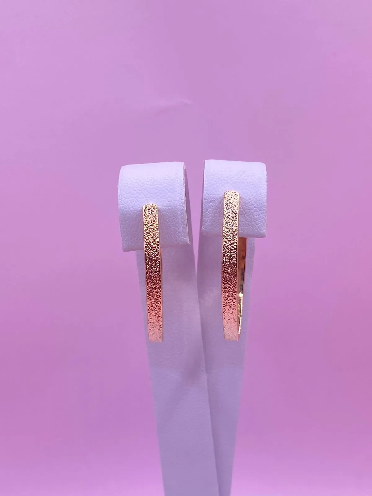 Brinco Argola Aspera