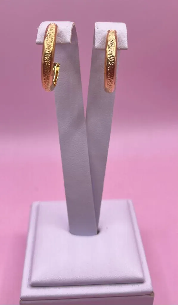 BRINCO ARGOLA DETALHADAS LINHAS LISA