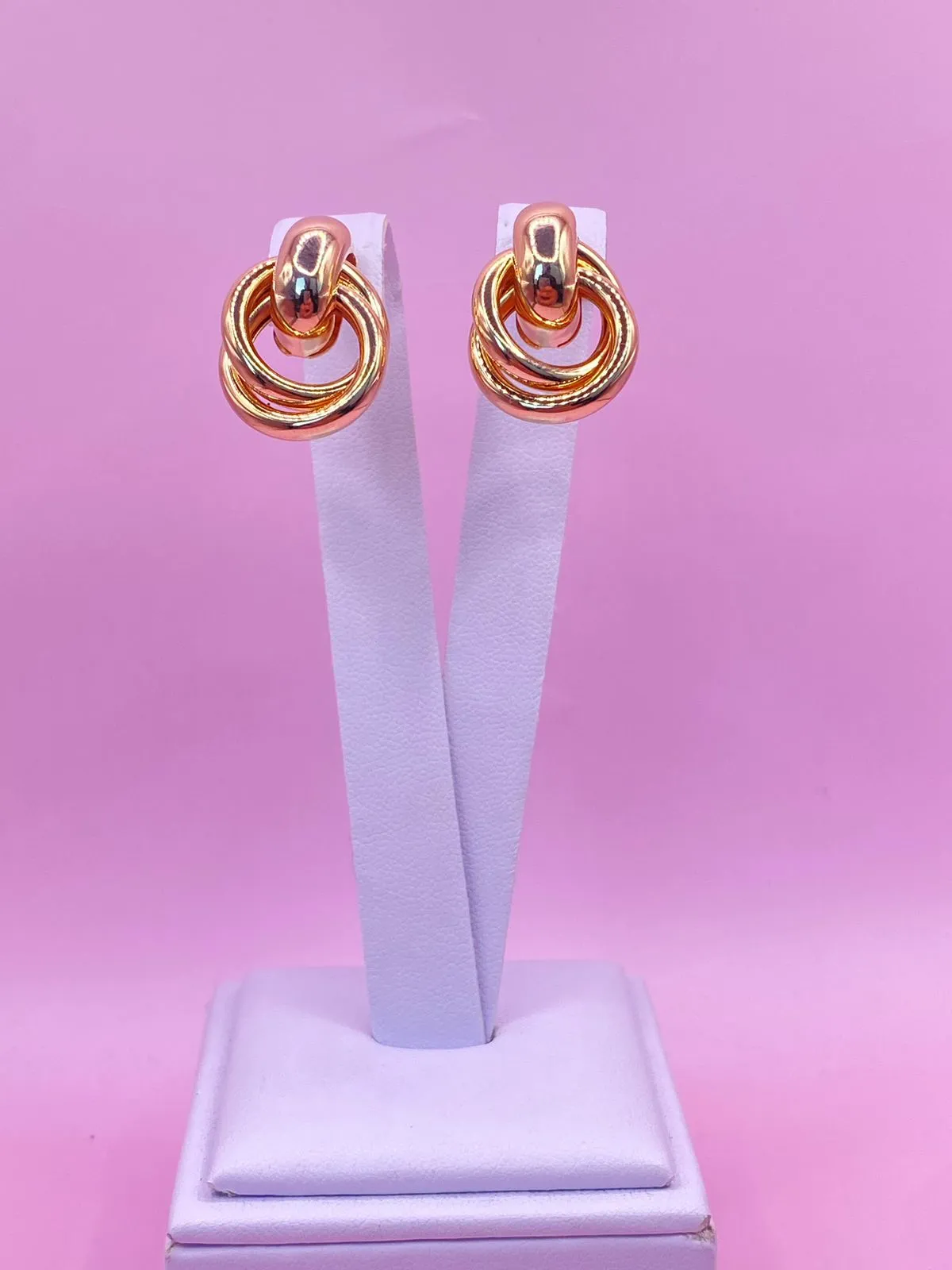 Brinco Circulo Duplo