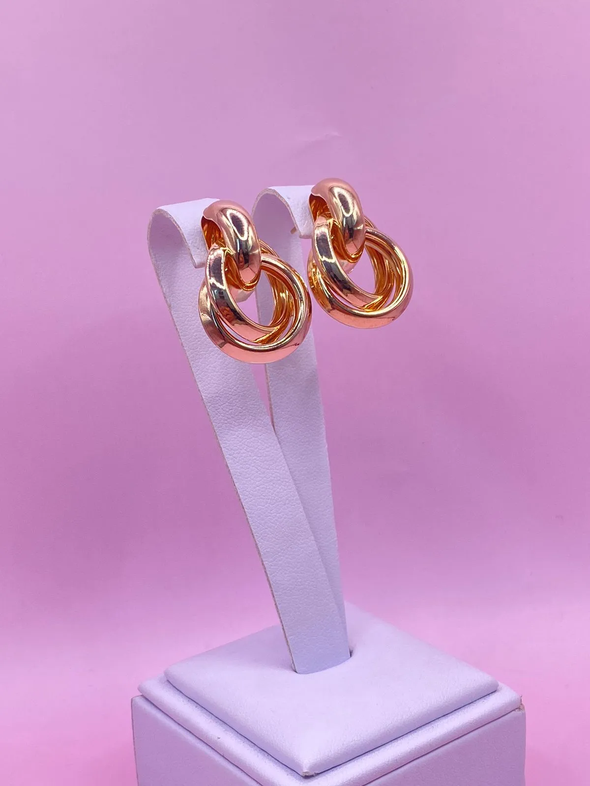 Brinco Circulo Duplo Grande