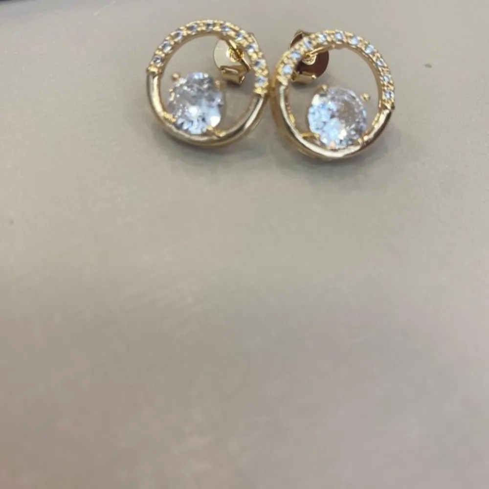 Brinco círculo cravejado