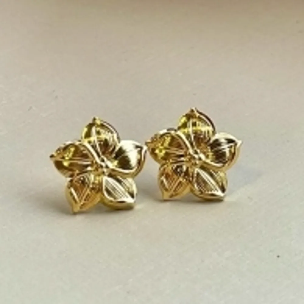 Brinco Flor Pequena