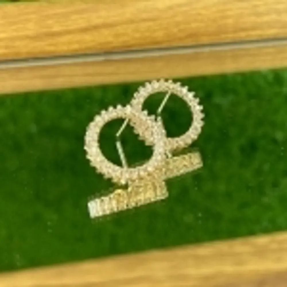 Brinco Círculo Zircônia