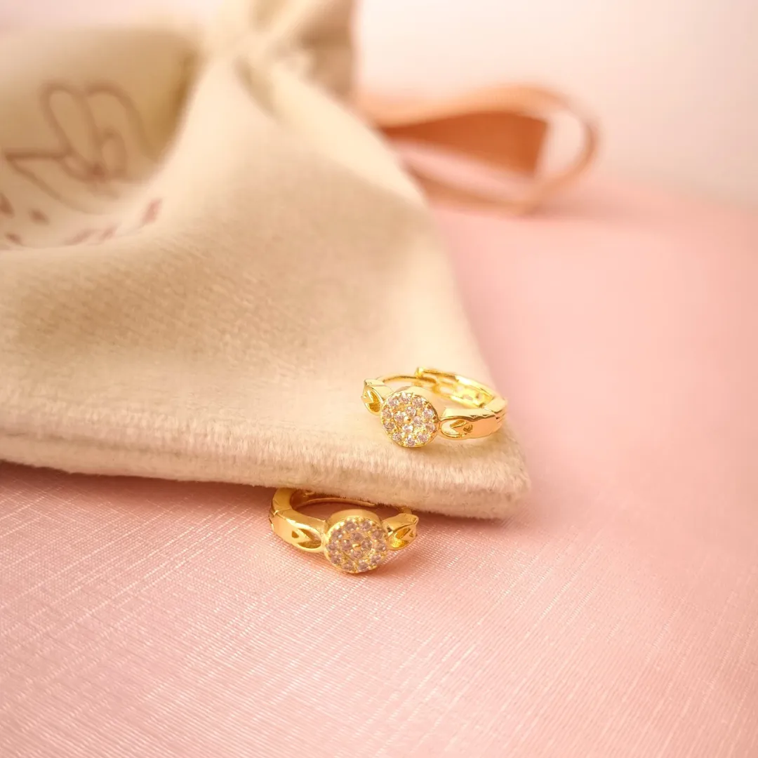 Brinco Argola Cravejado